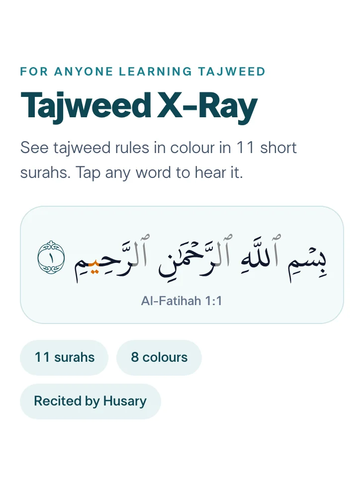 The Tajweed X-Ray cover, with the basmalah in tajweed colours