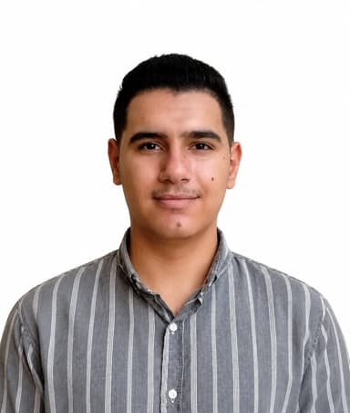 Hussein T.
